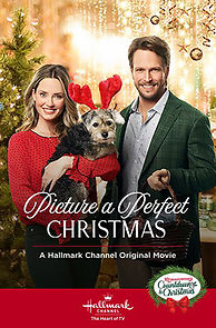 Watch Picture a Perfect Christmas