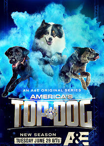 Watch America's Top Dog