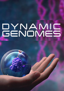 Watch Dynamic Genomes