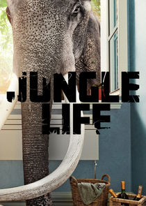 Watch Jungle Life