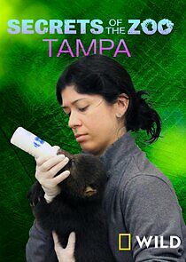 Watch Secrets of the Zoo: Tampa