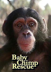 Watch Baby Chimp Rescue