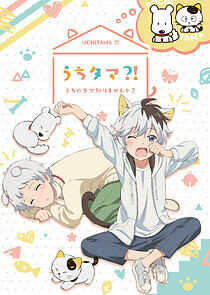 Watch Uchitama?! Have You Seen My Tama?