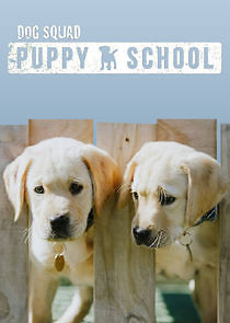 Watch Dog Squad: Puppy School