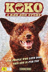 Watch Koko: A Red Dog Story