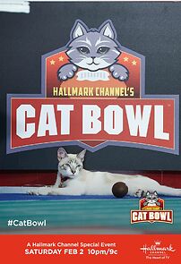 Watch Cat Bowl II (TV Special 2020)