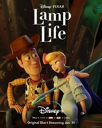 Watch Lamp Life