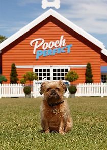 Watch Pooch Perfect