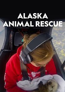 Watch Alaska Animal Rescue