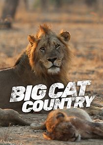 Watch Big Cat Country
