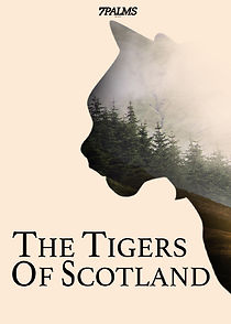 Watch The Tigers of Scotland
