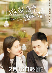 Watch Everyone Wants to Meet You