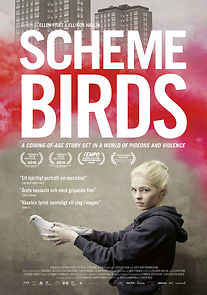Watch Scheme Birds