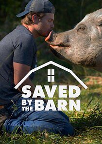 Watch Saved by the Barn