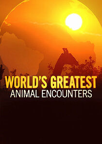 Watch World's Greatest Animal Encounters