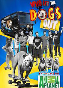 Watch Who Let the Dogs Out