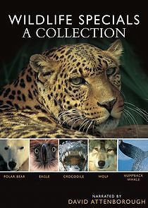 Watch Wildlife Specials