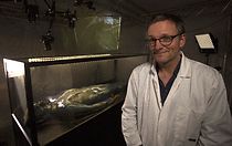 Watch Michael Mosley vs. the Superbugs