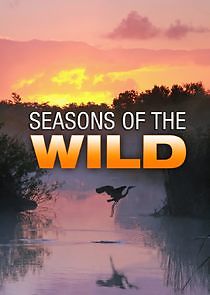 Watch Seasons of the Wild