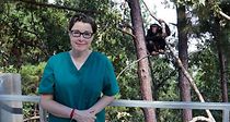 Watch Sue Perkins and the Chimp Sanctuary