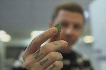 Watch Professor Green: Is It Time to Legalise Weed?