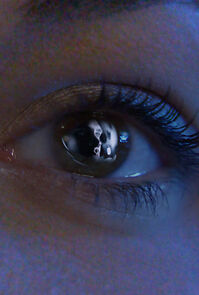 Watch Showcase Cinemas XPLUS (Short 2020)