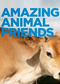 Watch Amazing Animal Friends