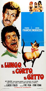 Watch Il lungo, il corto, il gatto