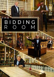 Watch The Bidding Room