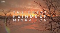 Watch All Aboard! The Great Reindeer Migration