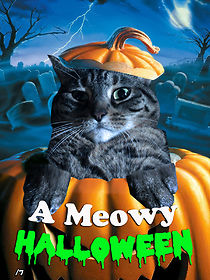 Watch A Meowy Halloween
