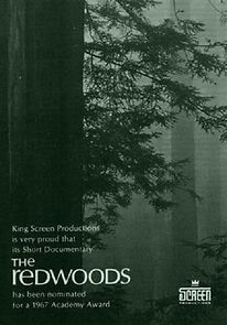 Watch The Redwoods (Short 1967)