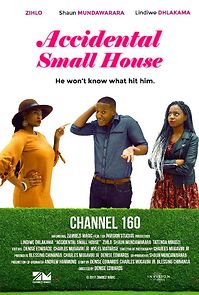 Watch Accidental Small House