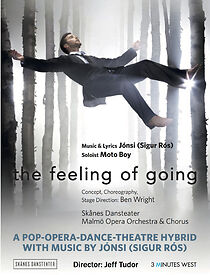 Watch The Feeling of Going