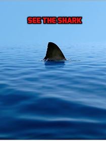 Watch See the Shark
