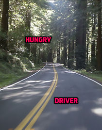 Watch Hungry Driver