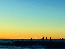 Watch Los Gatos Pardos