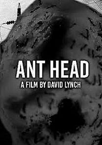 Watch Ant Head