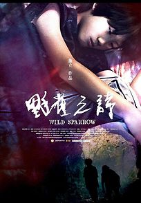 Watch Wild Sparrow