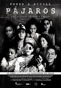 Watch Poner a actuar pájaros