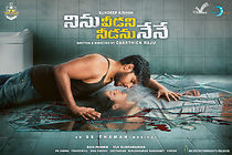 Watch Ninnu Veedani Needanu Nene