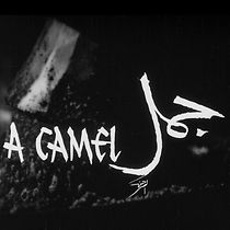 Watch Jamal (Short 1981)