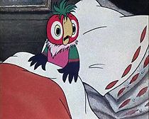 Watch Morning of Kesha the Parrot