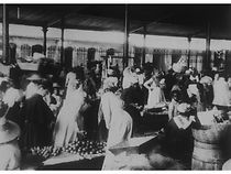 Watch Fort-de-France: marché