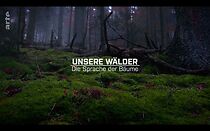 Watch Unsere Wälder: Die Sprache der Bäume