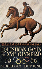 Watch The Horse in Focus