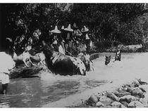 Watch Baignade de chevaux