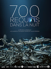 Watch 700 requins dans la nuit