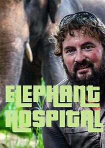 Watch Elephant Hospital