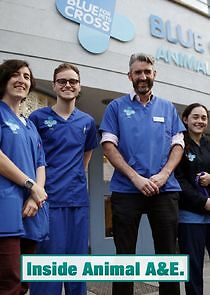 Watch Inside Animal A&E